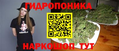 mix Новозыбков