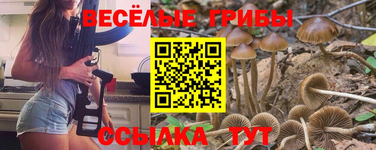 Советск  Псилоцибиновые грибы ЛСД  Вход с VPN 